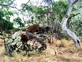 Tolmer Rocks - Phillip Island Accommodation 2
