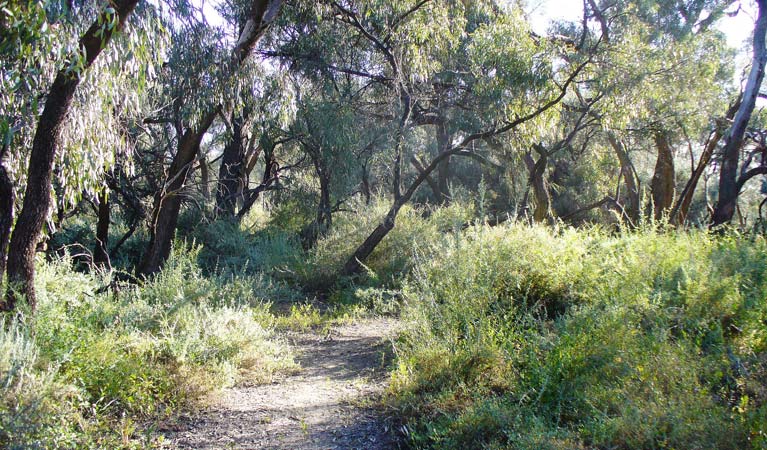 Roto NSW Phillip Island Accommodation