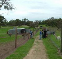 Avenue Emus - Phillip Island Accommodation