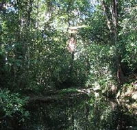Wabunga Wayemba Charmillan Creek walking track - Phillip Island Accommodation