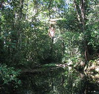 Misty Mountains Wilderness Walking Tracks - Phillip Island Accommodation