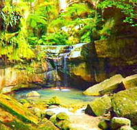 Carnarvon Gorge Carnarvon National Park - Phillip Island Accommodation