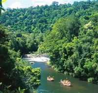 Tully Gorge National Park - Phillip Island Accommodation