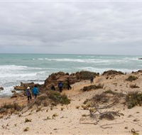 The Seaview Walking Trail - Phillip Island Accommodation