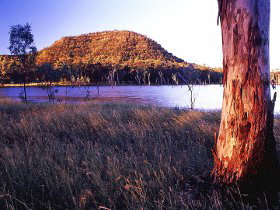 Nuga Nuga National Park And Lake Nuga Nuga - Phillip Island Accommodation 2