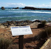 Cape Buffon Walking Trail - Phillip Island Accommodation