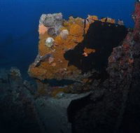 Lady Bowen Dive Site - Phillip Island Accommodation