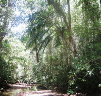 Mount Lewis National Park - Phillip Island Accommodation
