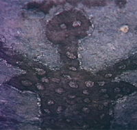Quinkan Reserves Ancient Rock Art - Phillip Island Accommodation