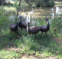 East Tolans Farm Tour - Phillip Island Accommodation