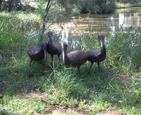 East Tolans Farm Tour - Phillip Island Accommodation 0