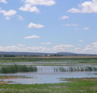Fivebough Wetlands - Phillip Island Accommodation