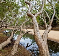 Oyala Thumotang National Park CYPAL - Phillip Island Accommodation