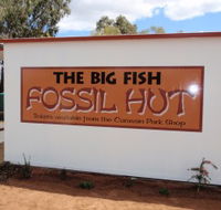 Big Fish Fossil Hut at Peak Hill - Phillip Island Accommodation
