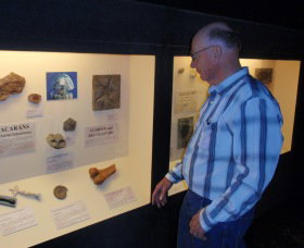 Big Fish Fossil Hut At Peak Hill - Phillip Island Accommodation 1