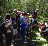 Warrumbungle National Park Discovery Program - Phillip Island Accommodation