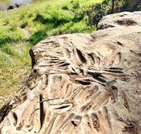 Terramungamine Rock Grooves - Phillip Island Accommodation
