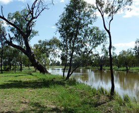Seplin Estate Wines - Phillip Island Accommodation 1