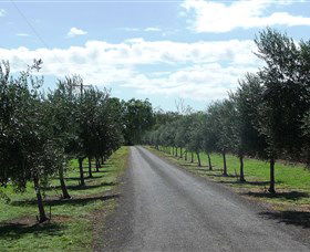 Seplin Estate Wines - Phillip Island Accommodation 3