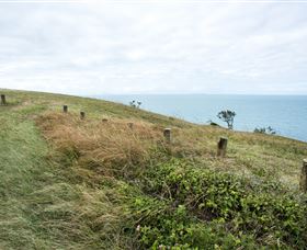 Cape Palmerston National Park - Phillip Island Accommodation 3