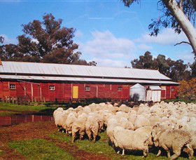 Savernake Day Tours - Phillip Island Accommodation 1