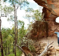 Pilliga National Park - Phillip Island Accommodation