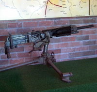Woodpecker Gun - Phillip Island Accommodation