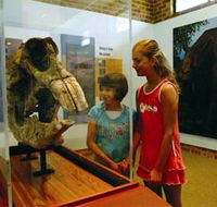 Australian Museum Diprotodon Exhibition - Phillip Island Accommodation