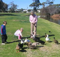 Roy Little Park Merredin - Phillip Island Accommodation