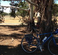 Murchison Rail Trail - Phillip Island Accommodation