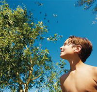 Birdwatching on Keswick Island - Phillip Island Accommodation