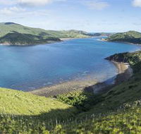 The Cremer Shipwreck Dive Site - Keswick Island - Phillip Island Accommodation