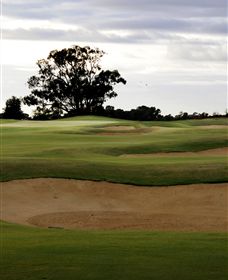 Black Bull Golf Club - Phillip Island Accommodation 0