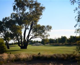 Black Bull Golf Club - Phillip Island Accommodation 2