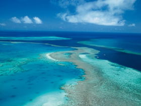 Fairey Reef - Phillip Island Accommodation 2