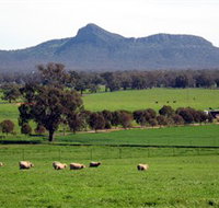 The Rock Nature Reserve - Phillip Island Accommodation