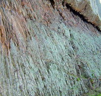 The Rock Nature Reserve - Kengal Aboriginal Place - Phillip Island Accommodation