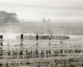 Grange Cleveland Winery - Phillip Island Accommodation 7