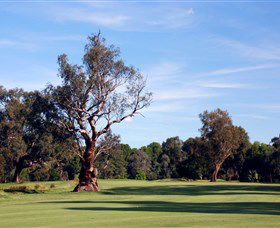 Corowa Golf Club - Phillip Island Accommodation 5
