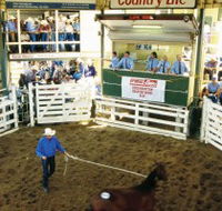 Gracemere Exhibition Complex - Phillip Island Accommodation