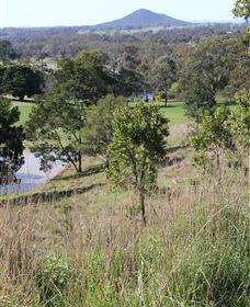 Mt Piper Nature Conservation Reserve - Phillip Island Accommodation 1