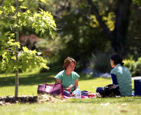 Botanic Gardens Wagga Wagga - Phillip Island Accommodation 0