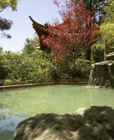 Botanic Gardens Wagga Wagga - Phillip Island Accommodation 2