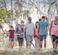 Winton Wetlands Reserve - Phillip Island Accommodation