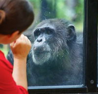 The Rockhampton Zoo - Phillip Island Accommodation