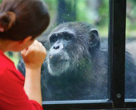 The Rockhampton Zoo - Phillip Island Accommodation 0