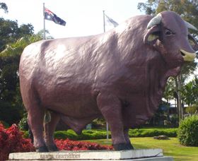 Rockhampton Bull Statues - Phillip Island Accommodation 0