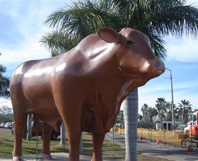 Rockhampton Bull Statues - Phillip Island Accommodation 3