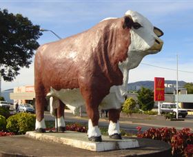 Rockhampton Bull Statues - Phillip Island Accommodation 2