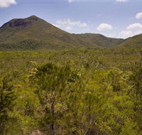 Kutini-Payamu Iron Range National Park CYPAL - Phillip Island Accommodation